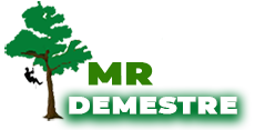 elagage-mr-demestre
